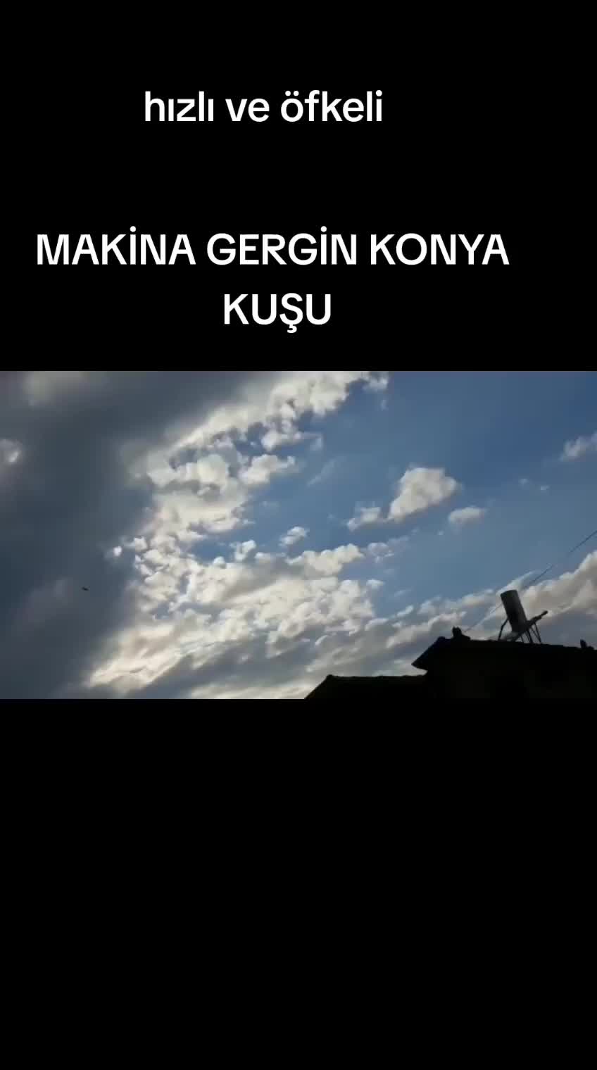 @Murat Makarnacı