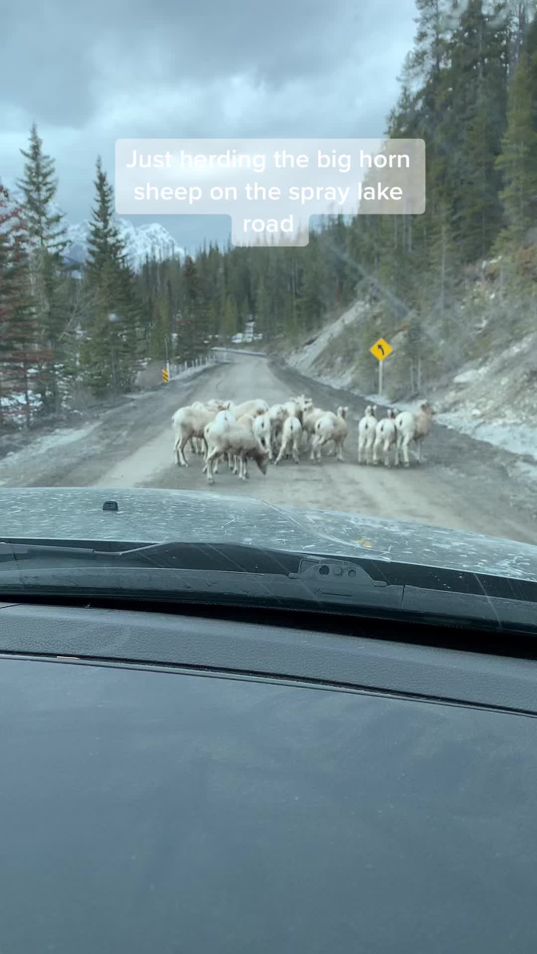 @asrunner0