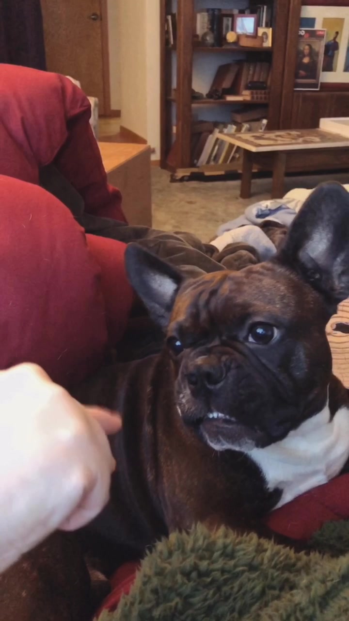 @wildlywinston