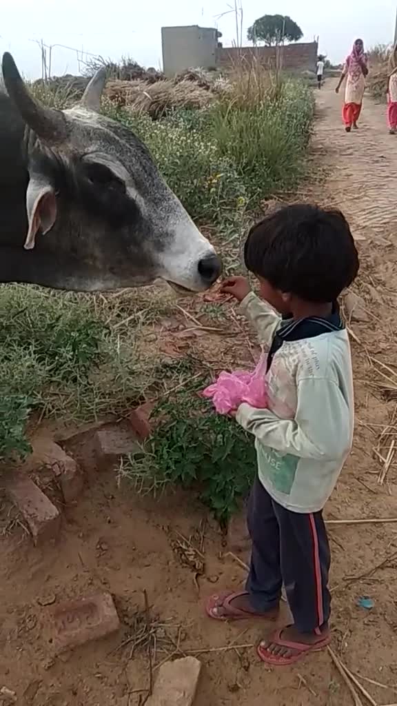 @Sanjay..Mawar.Tosham