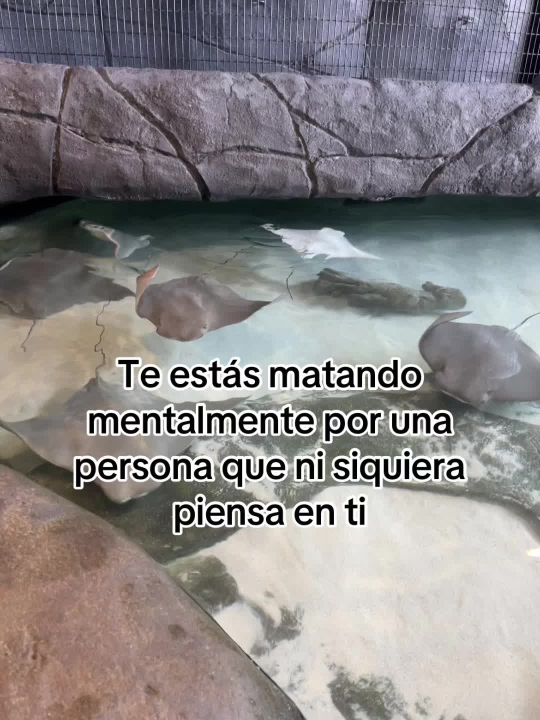 @usuarionomeconoces