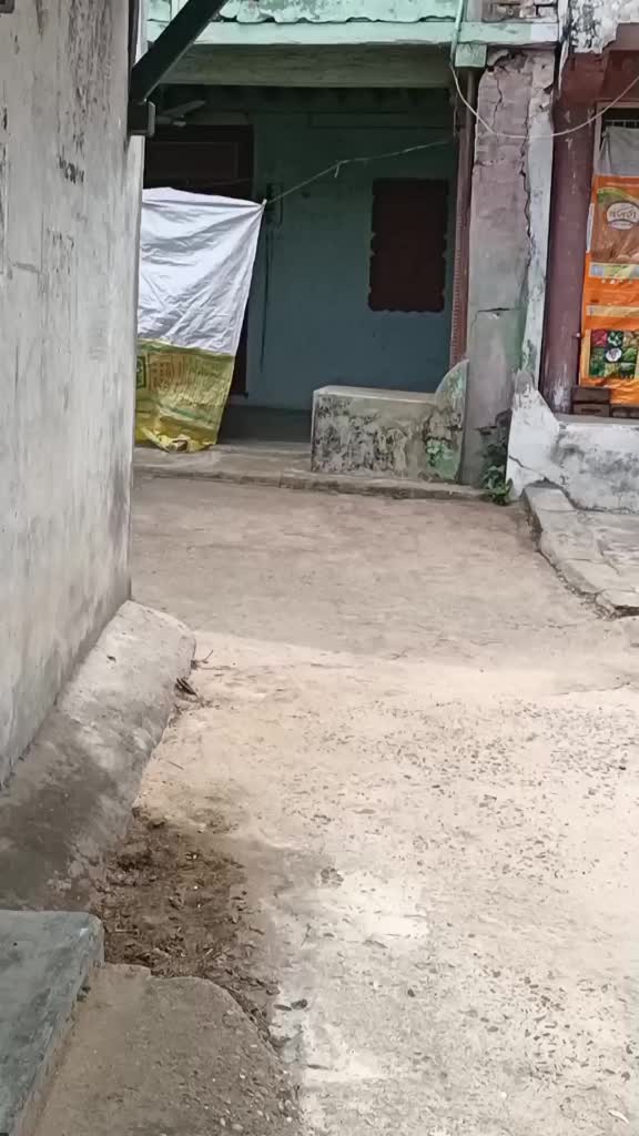 @HA MARU ARVALLI HA GJ 31