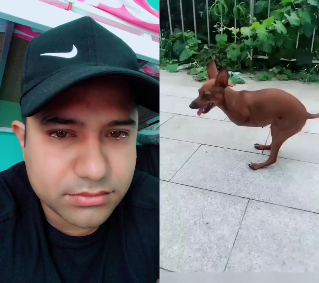 @dineshkarki12