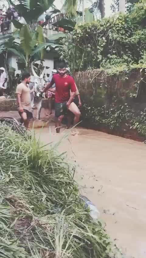 @Akkudu