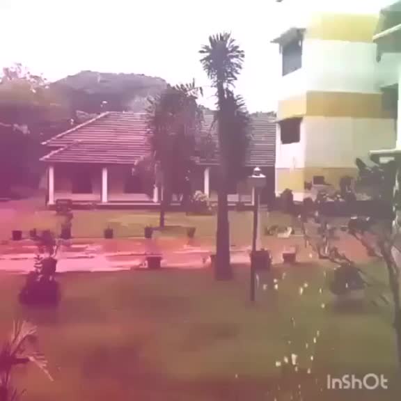 @user1185387330608