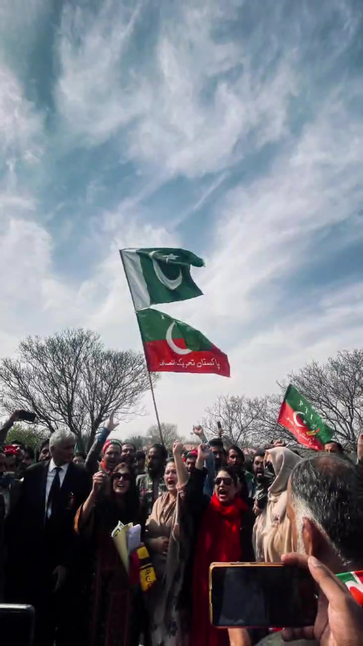 @Cornered Tigers