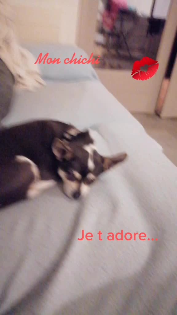 @Alice Collet