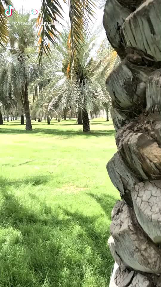 @chaithanya _vinesh
