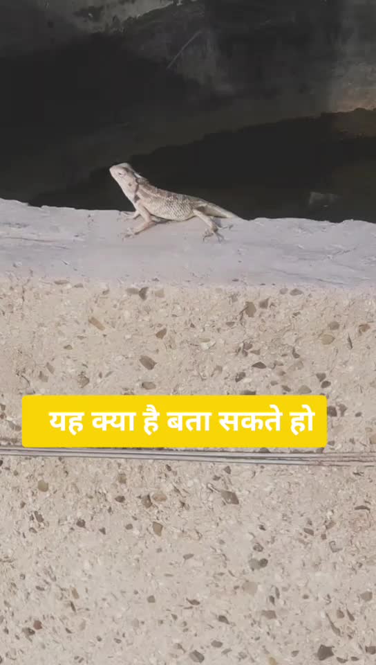 @Ramaram Panchal