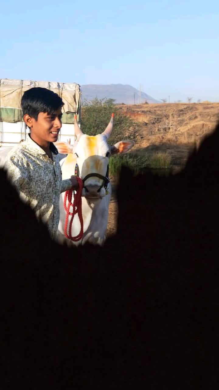 @👑 सोन्या पानसरे 👑