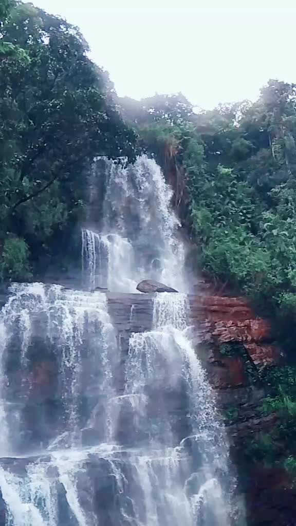 @Balachandra Mohan