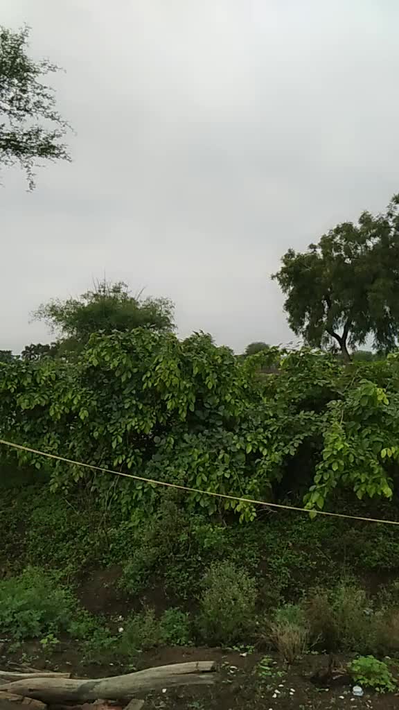 @user30663802064