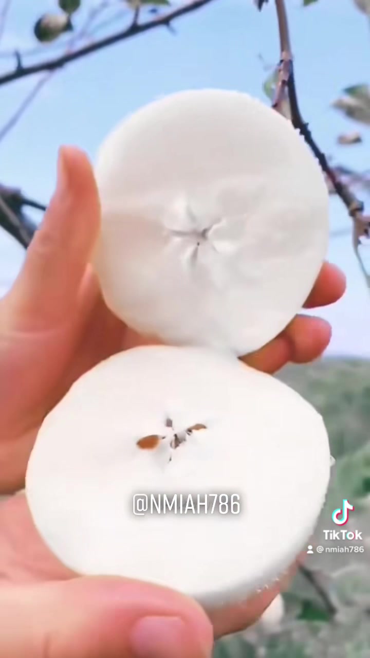 @NMiah786