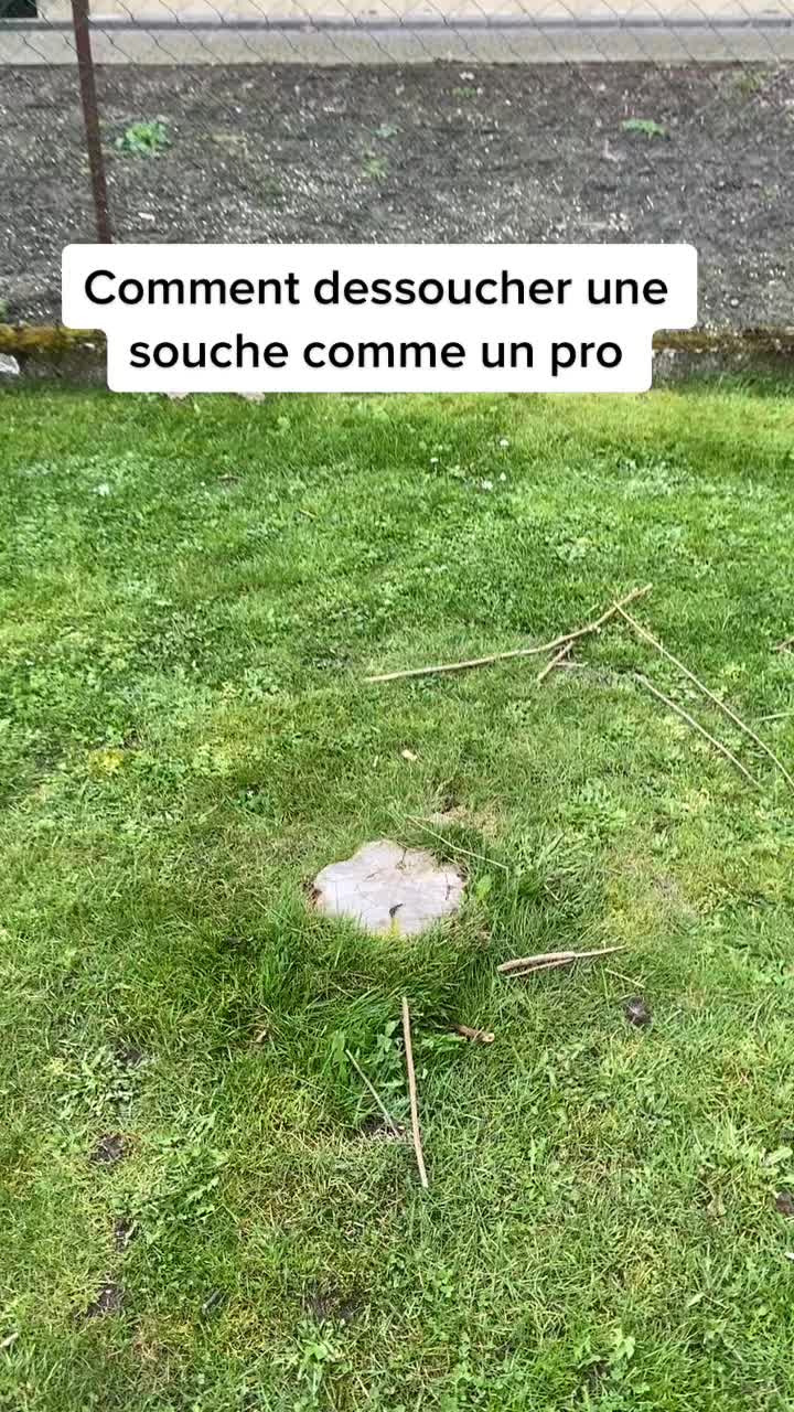 @Steve Le Jardinier