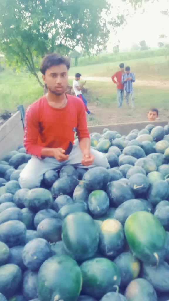 @januhashmi