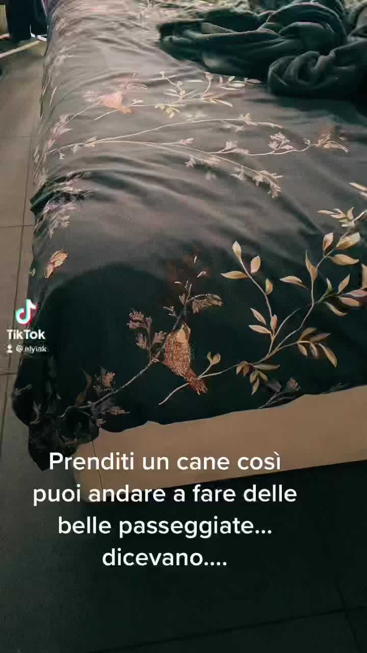 @Elena