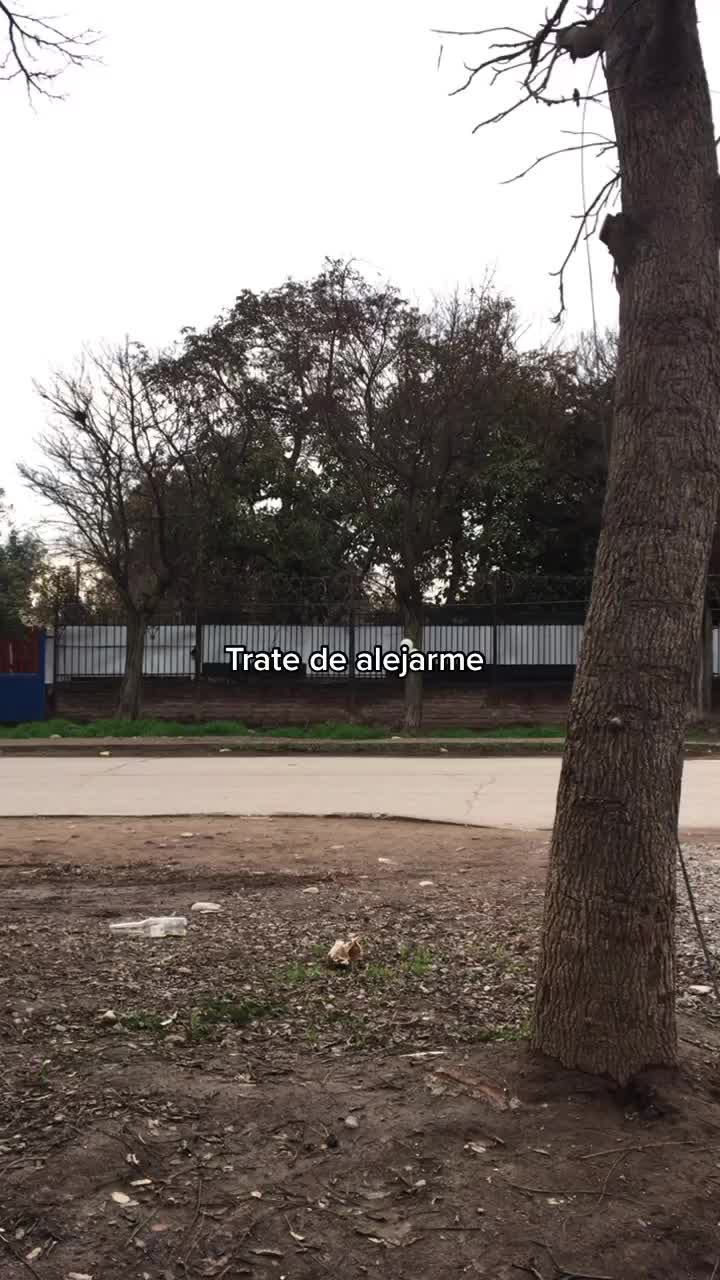 @@:(