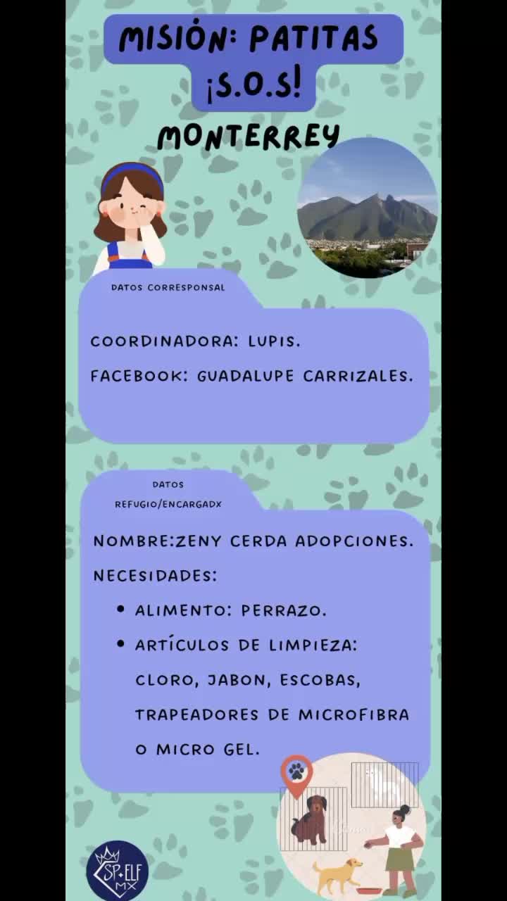 @Super Proyectos ELF Mx