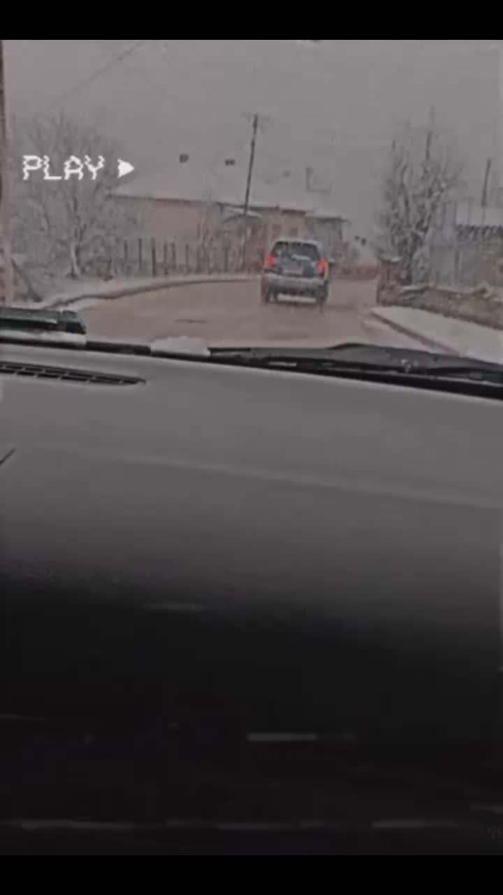 @Miodrag Zanev
