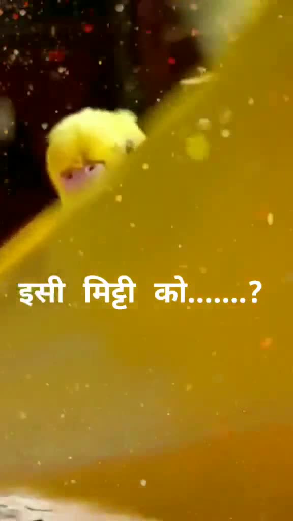 @โ
โ
๐๐ป๐ฟ๐ฒ๐ท๐ญ ๐ผ๐ฑ?