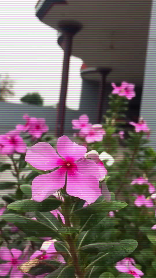 @๐ เจฎเจจเจตเฉเจฐ เจธเจฟเฉฐเจ ๐