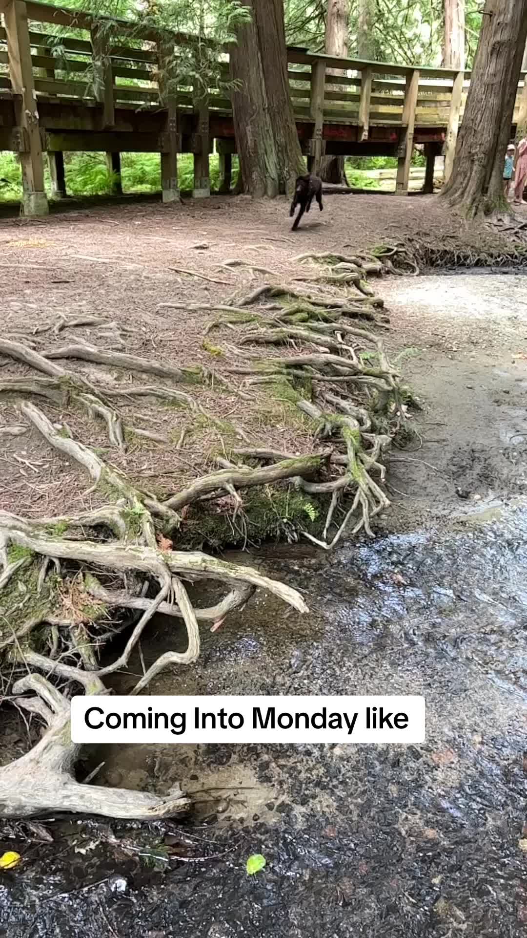 @Dadalorian