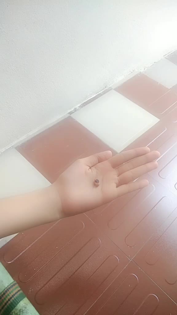 @@ nani