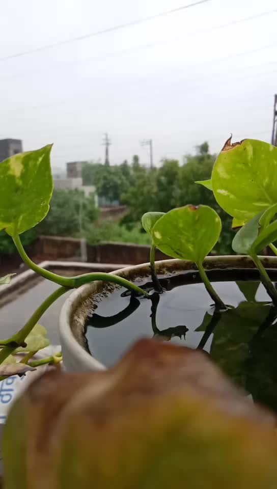 @๐ฅ_Shiva_sahu_ ๐ฅ