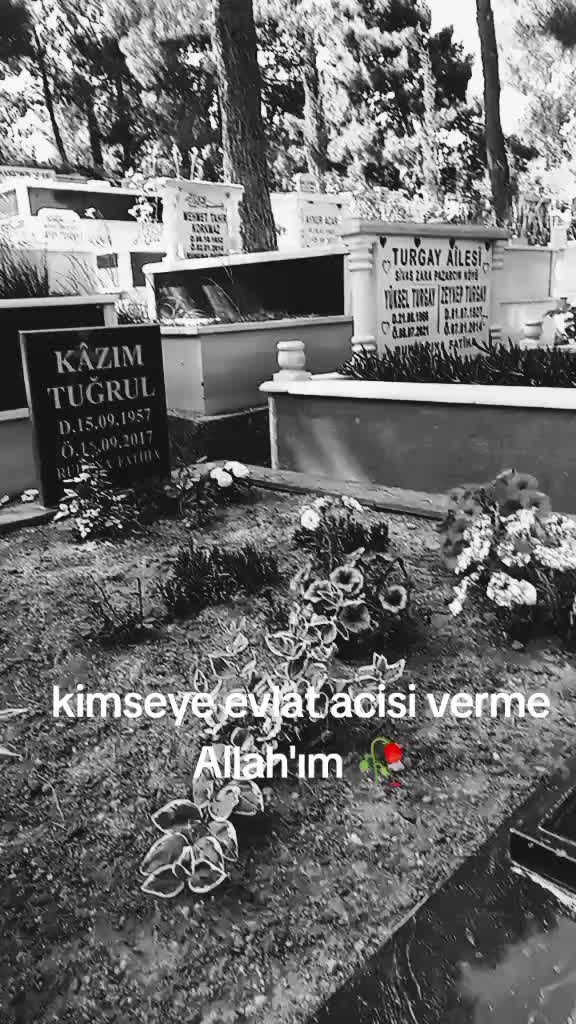 @beyzanisa.