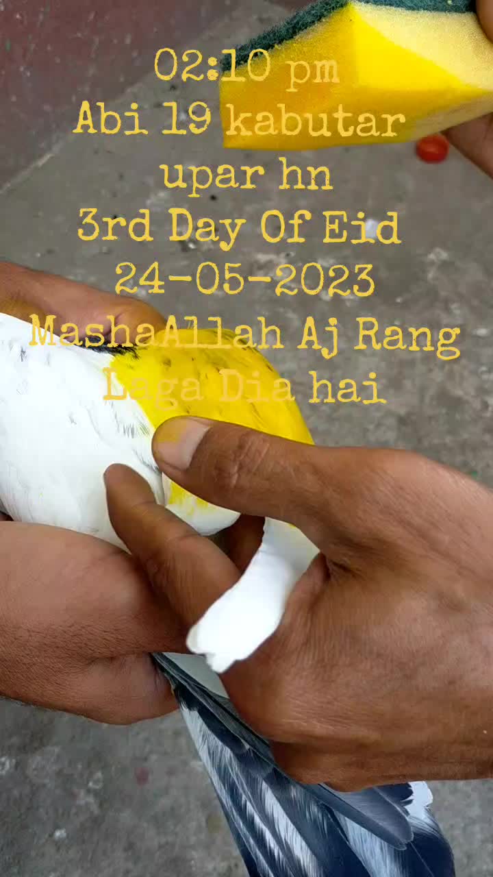 @🧡راجہ عثمان 🧡