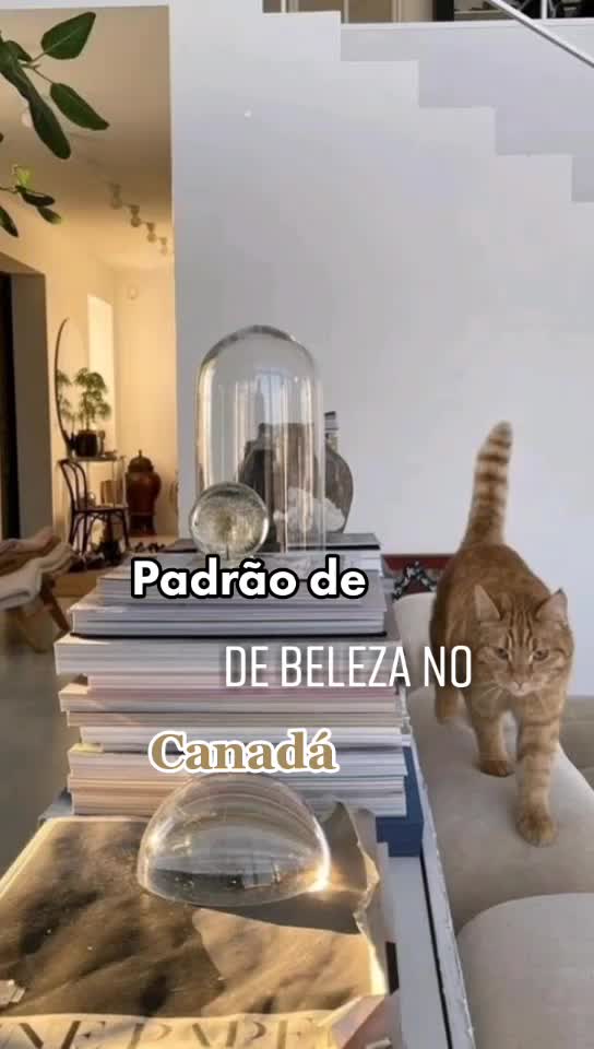 @𝐄𝐦𝐢𝐥𝐲 || 𝐀𝐞𝐬𝐭𝐡𝐢𝐜🍃