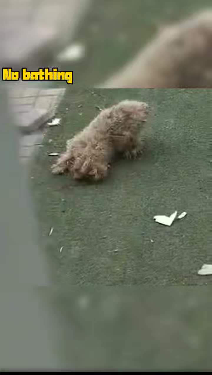 @donhfin