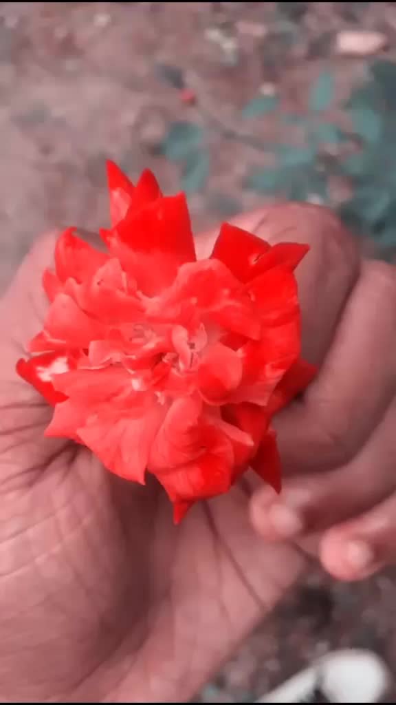 @Akhil A Kumar