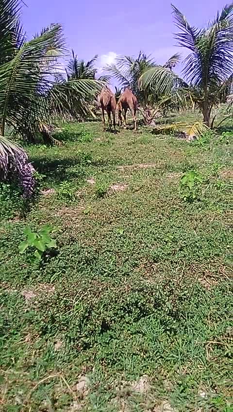 @sagar rabari