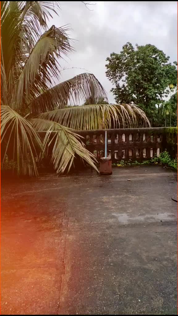 @Tuski Dey