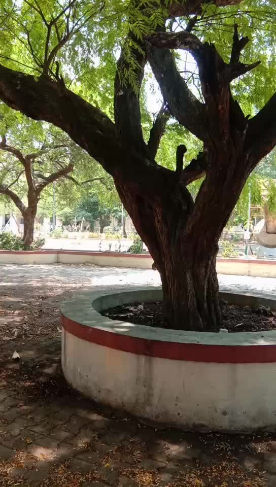 @கோ சரவணன்
