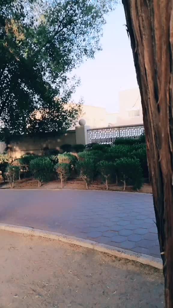 @vishnu vidhyadar
