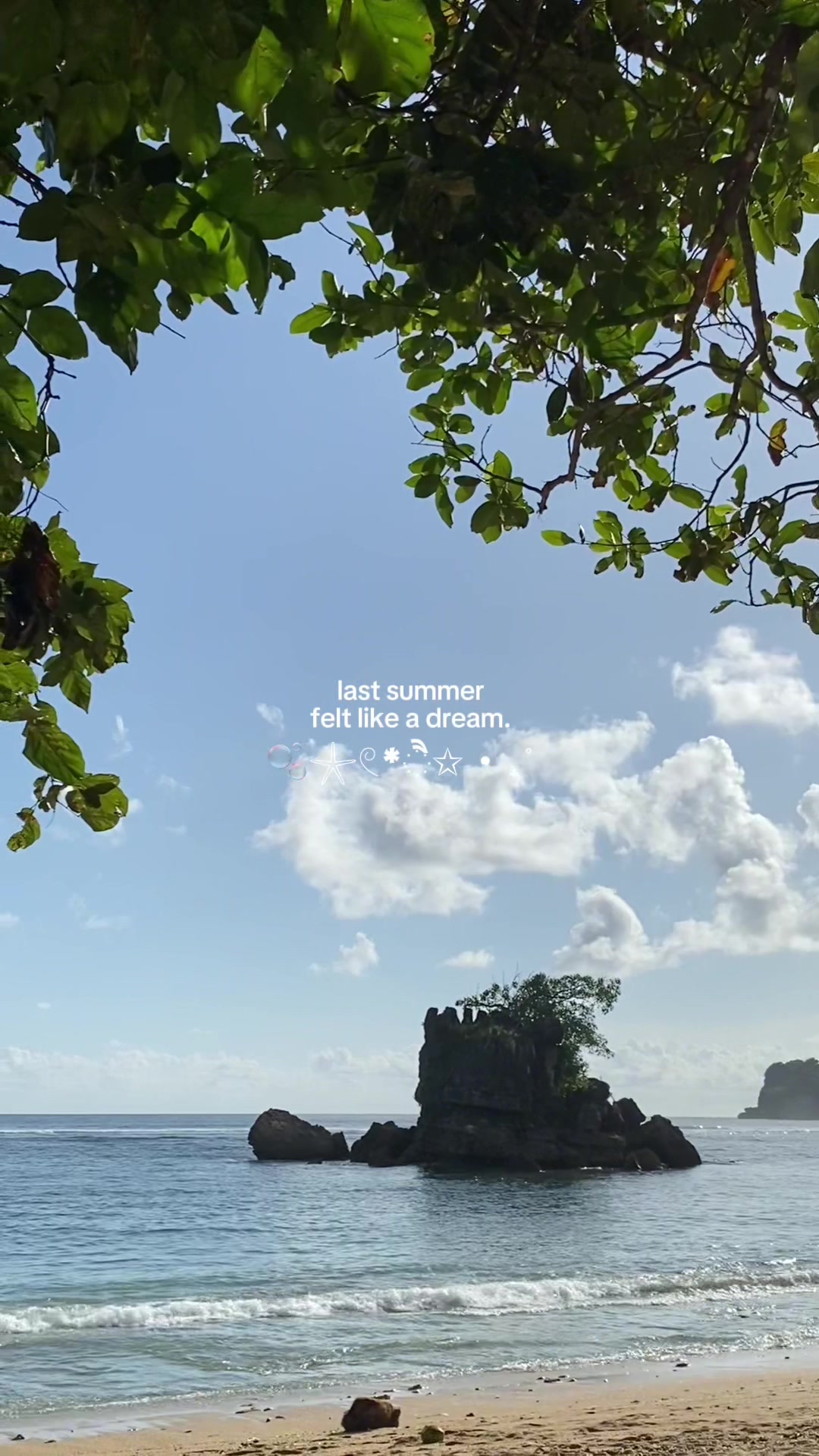 @dinii