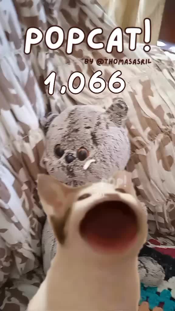 @Фатима Атбекова