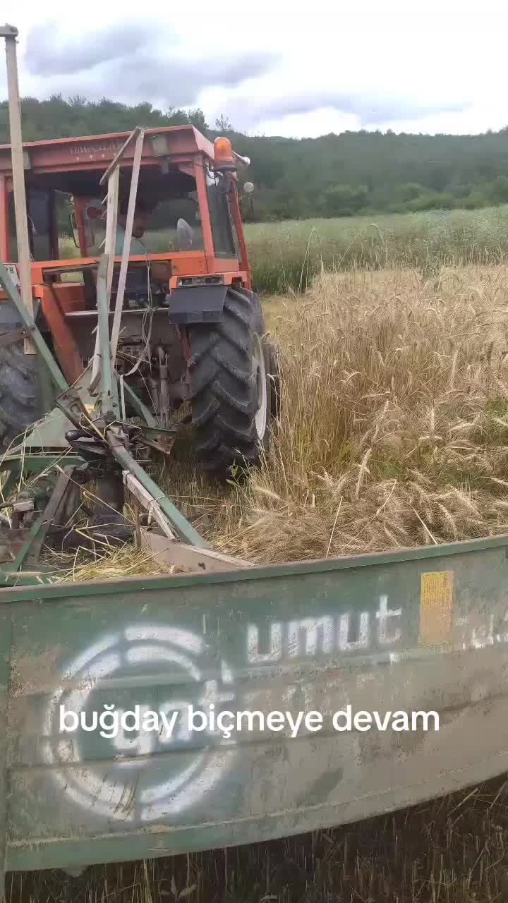 @Ercan G&uuml;m&uuml;ş 57
