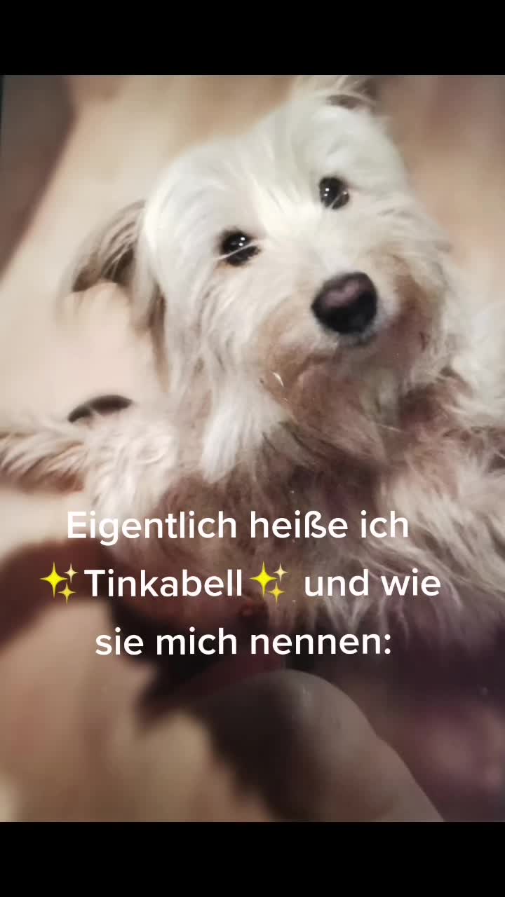 @jtzdhkn0