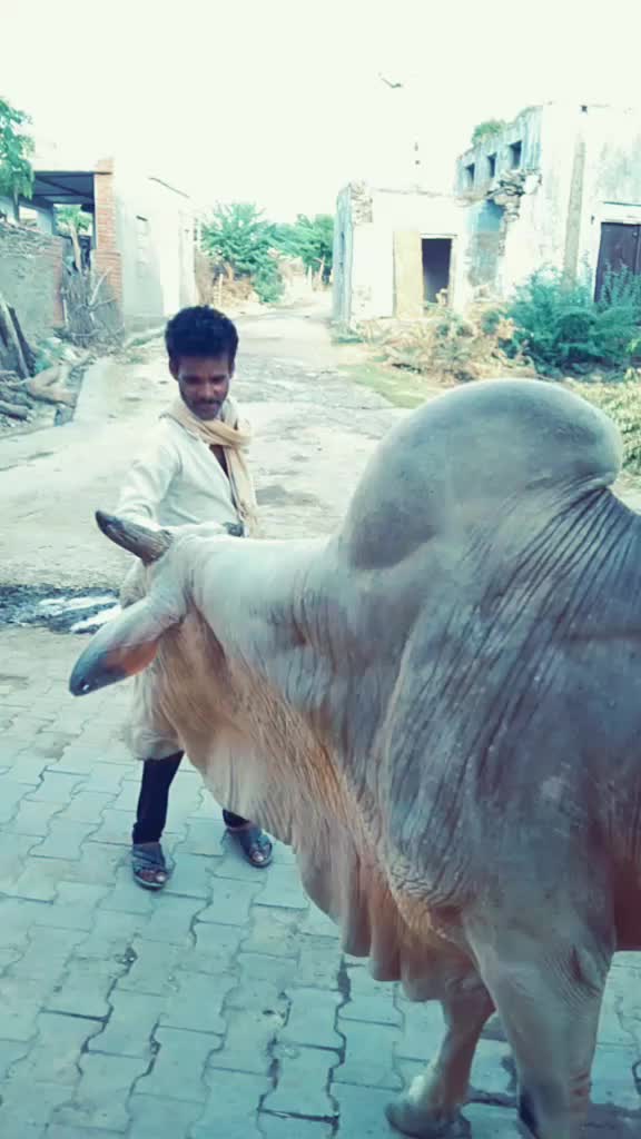 @lover boy रोहित