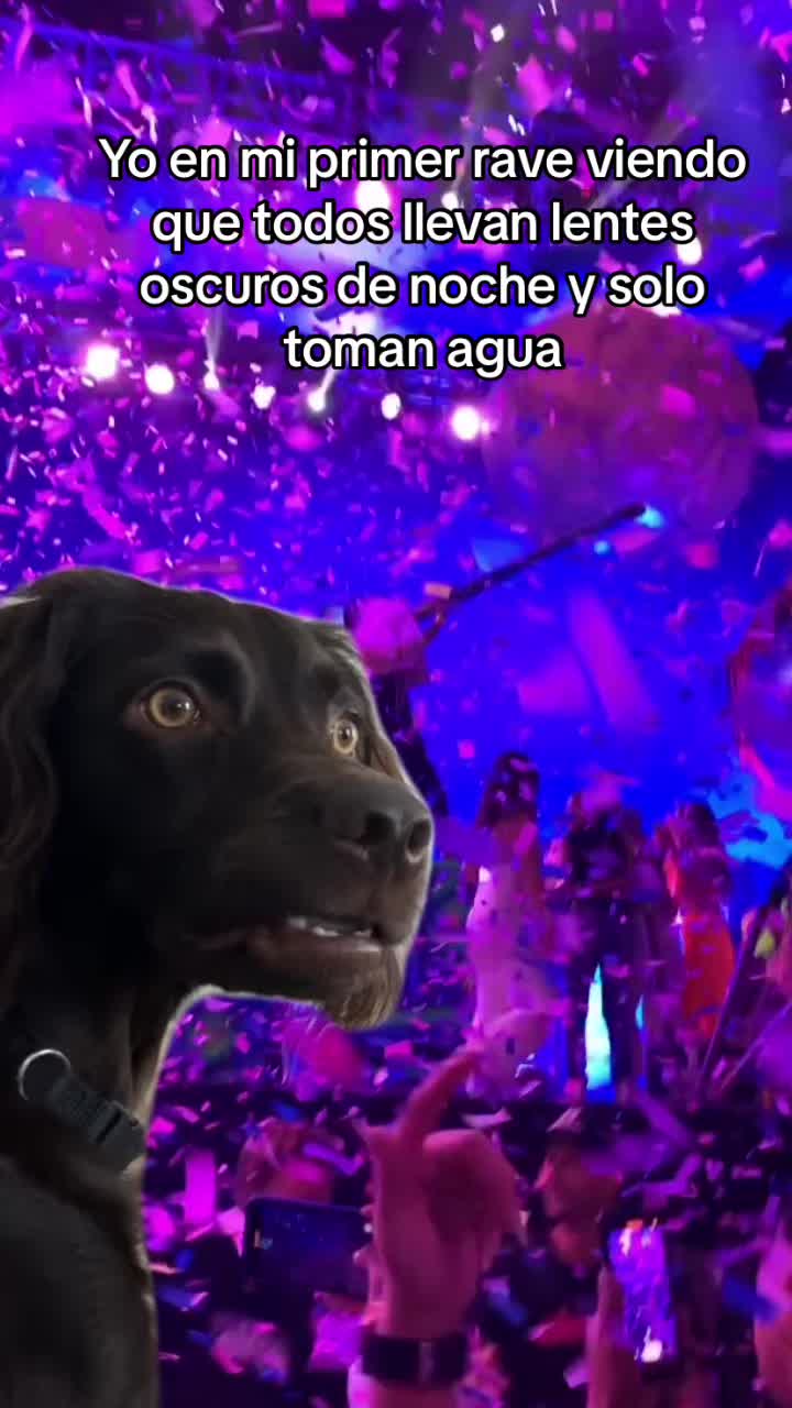 @Calamardo Lens