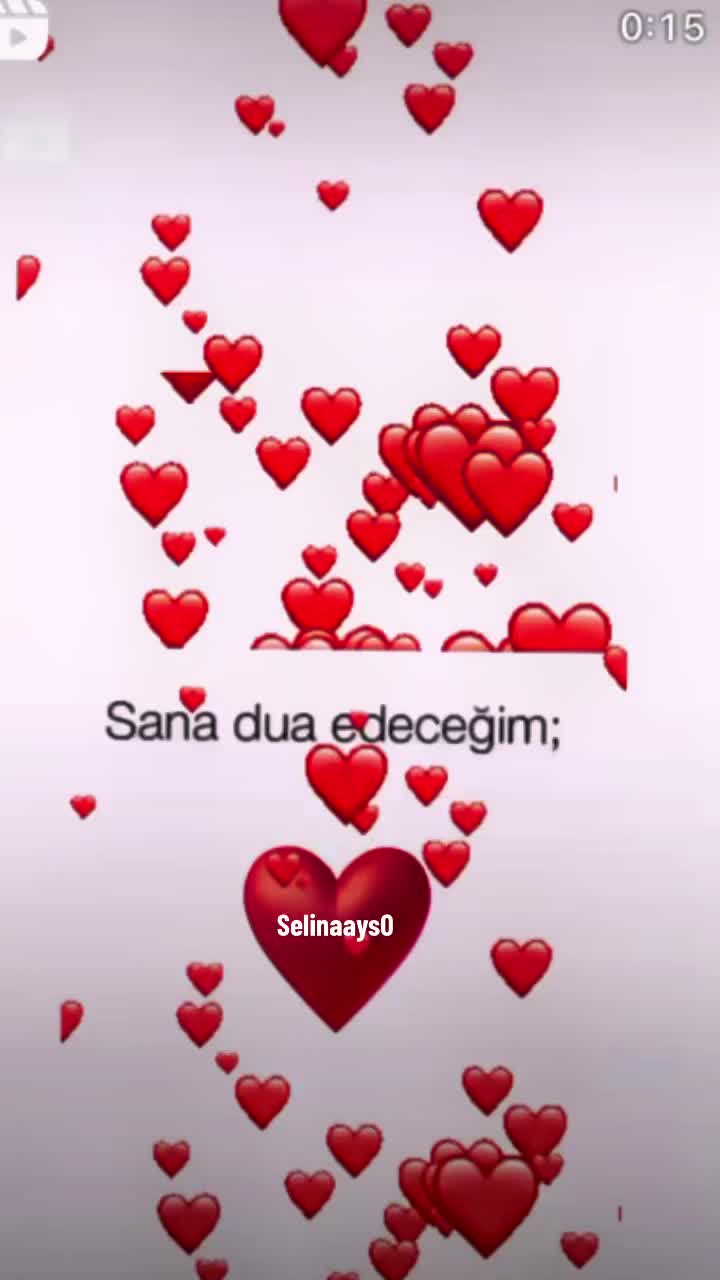 @selinaays0