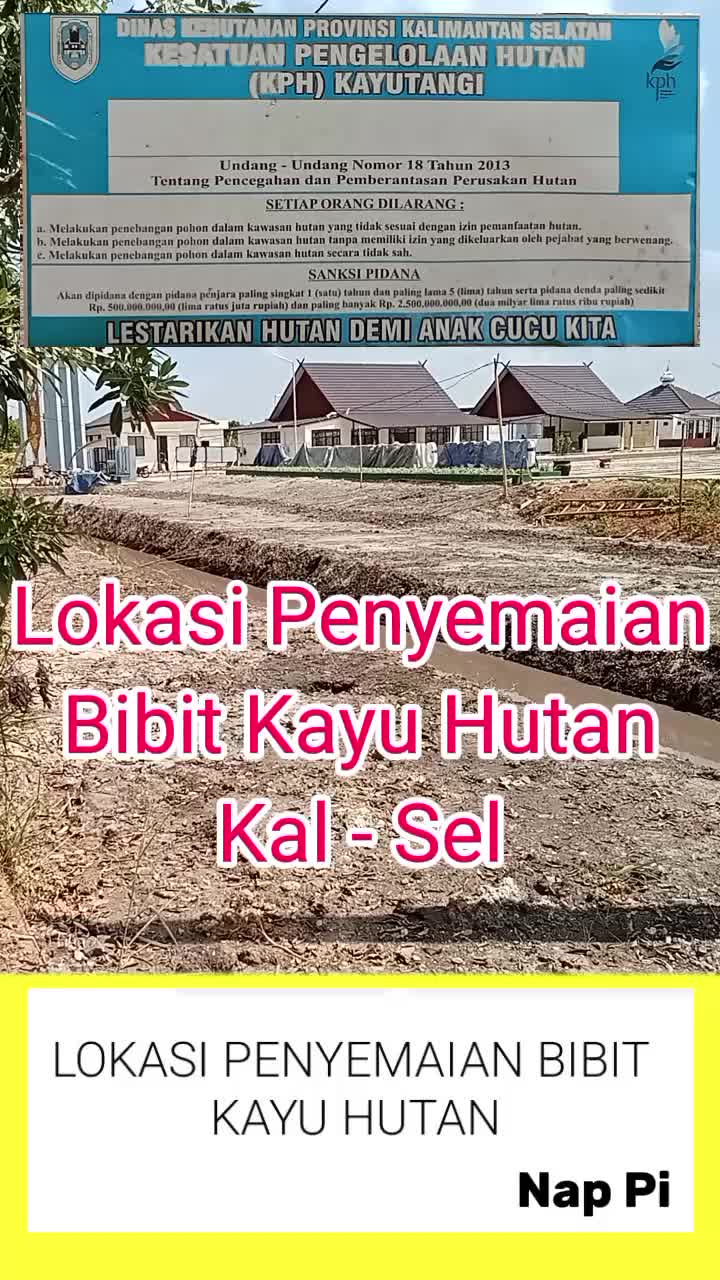 @Nap Pi