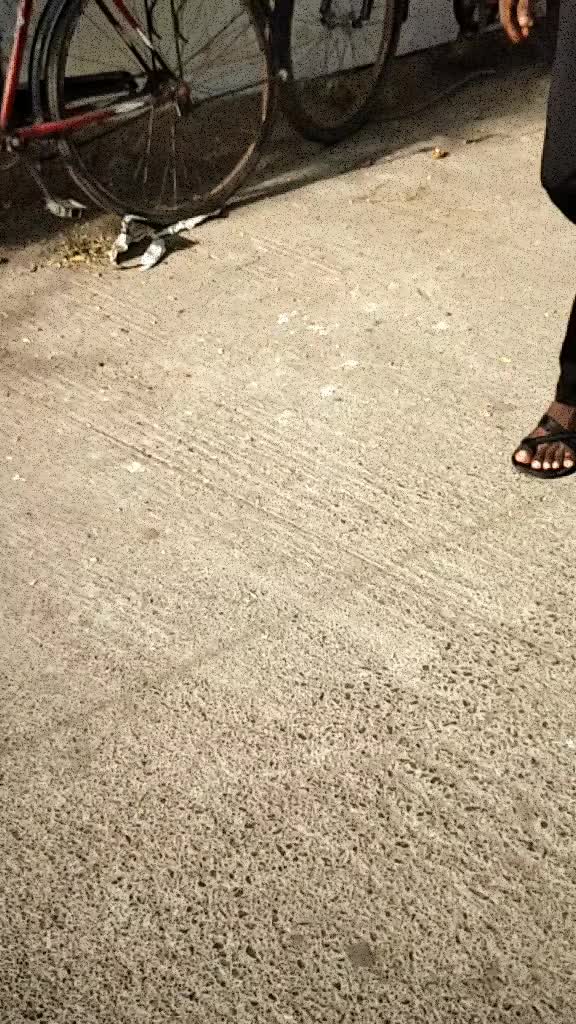 @rajdhanushhh
