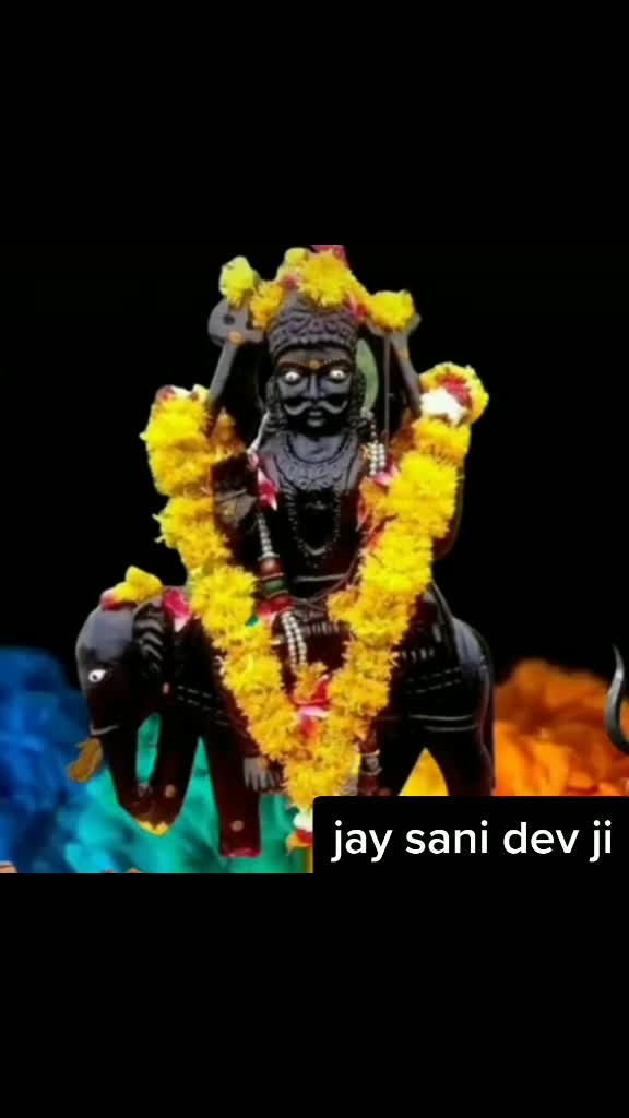 @13_vivek