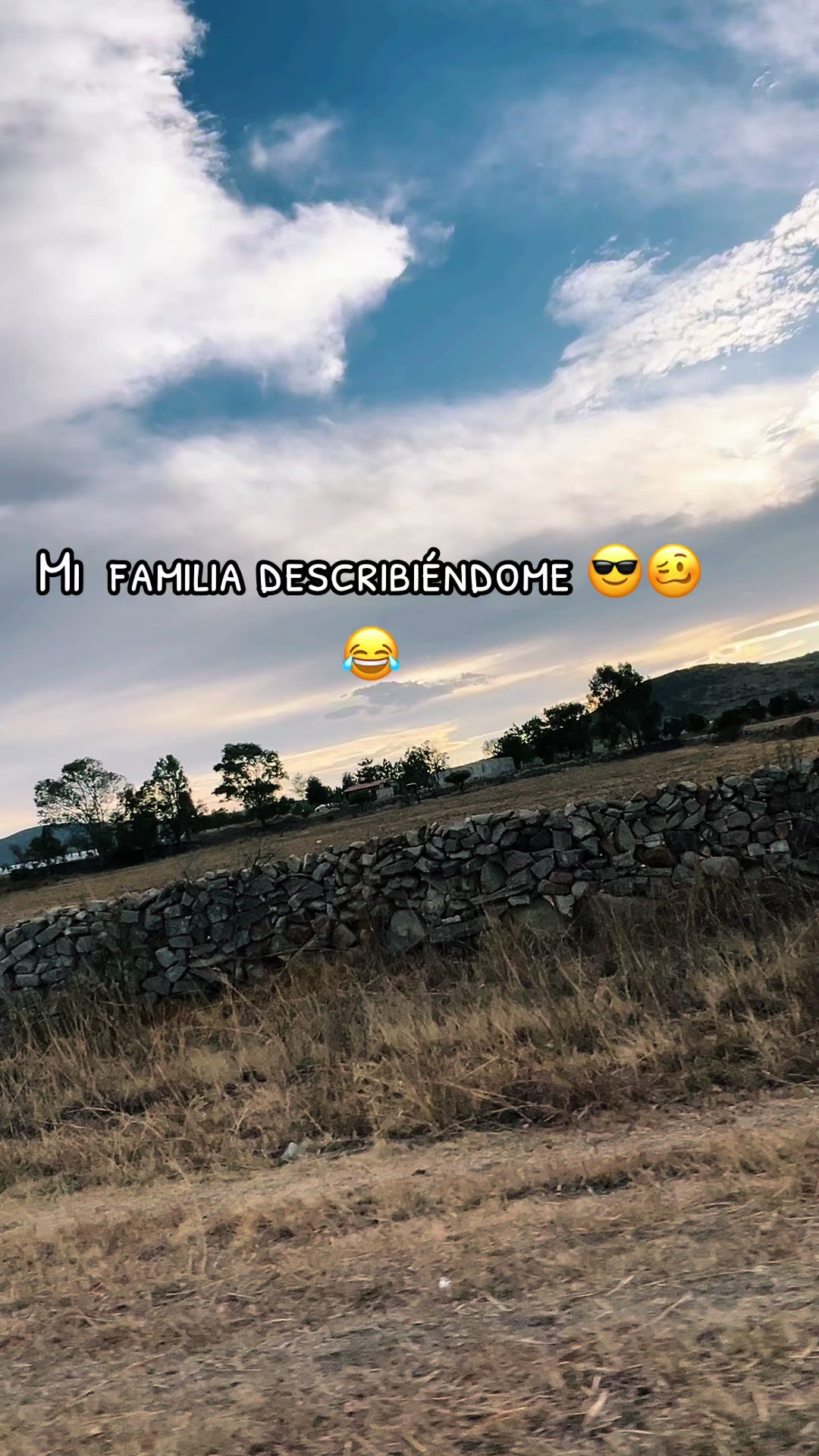 @saysilse