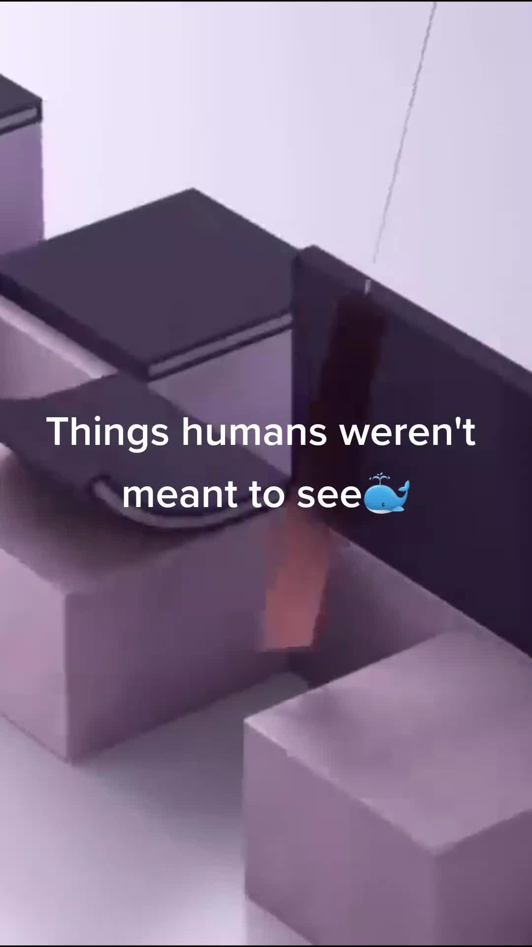 @LovingNature