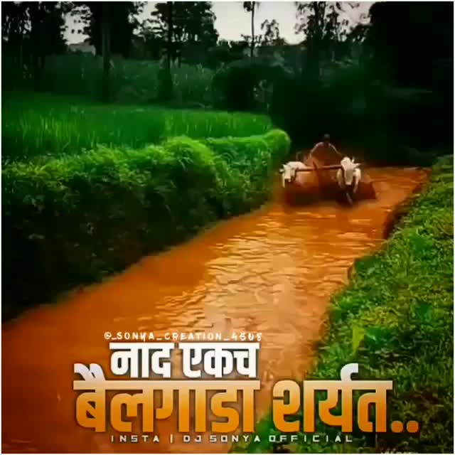 @Kunal Bankar KB